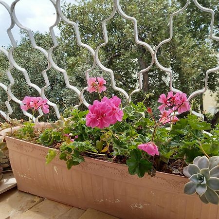 Stella Maris Hosting Apartment Haifa Bagian luar foto