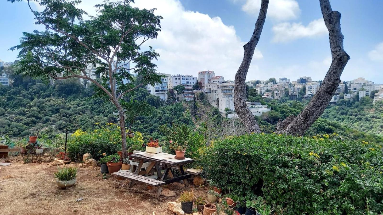 Stella Maris Hosting Apartment Haifa Bagian luar foto