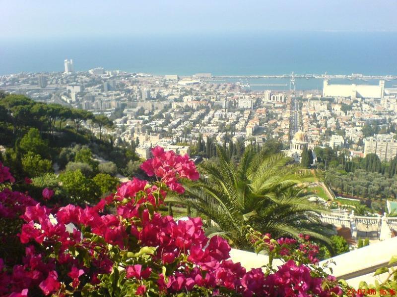 Stella Maris Hosting Apartment Haifa Bagian luar foto